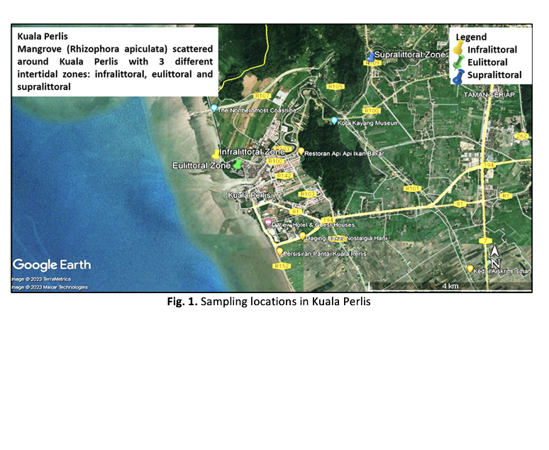 					View Vol. 6 No. 1: September (2025)
				